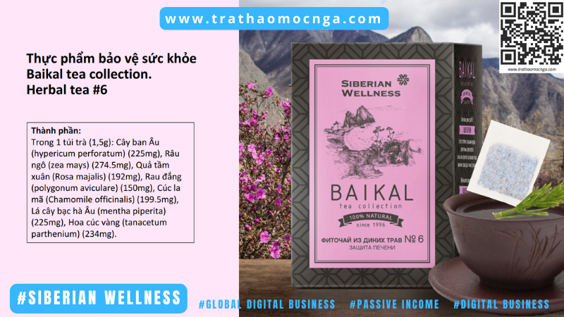 Trà thảo mộc số 6 - Siberian Wellness