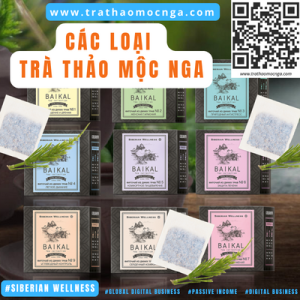 Các loại Trà Thảo Mộc Nga