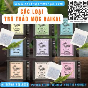 Các loại Trà Thảo Mộc Baikal Siberian Wellness