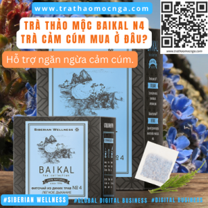 Mua Trà Thảo Mộc Baikal N4 - Trà Cảm Cúm Siberian Wellness ở đâu?
