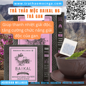 Trà Thảo Mộc Baikal N6 - Trà Gan - Siberian Wellness
