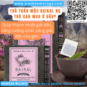 Mua Trà Thảo Mộc Baikal N6 - Trà Gan Siberian Wellness ở đâu?