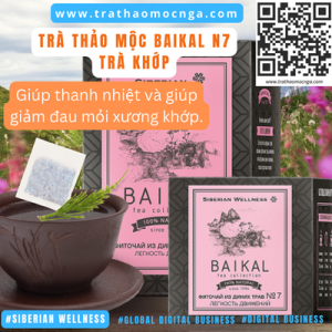 Trà Thảo Mộc Baikal N7 - Trà Khớp - Siberian Wellness