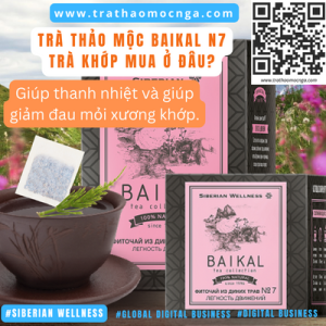 Mua Trà Thảo Mộc Baikal N7 - Trà Khớp Siberian Wellness ở đâu?