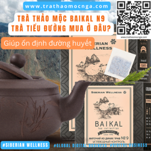 Mua Trà Thảo Mộc Baikal N9 - Trà Tiểu Đường Siberian Wellness ở đâu?