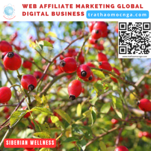 Tầm xuân như 7 vị Bác sĩ và đã được sử dụng cho mục đích y học