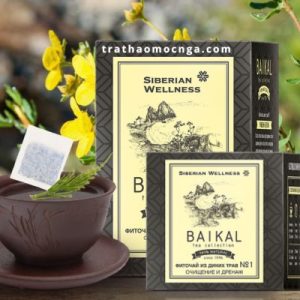 Trà Baikal N1 - Giải độc tự nhiên và hỗ trợ hệ tiêu hóa!