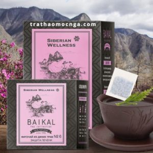 Trà Baikal N6 - Hỗ trợ thanh nhiệt giải độc và chức năng gan tự nhiên!