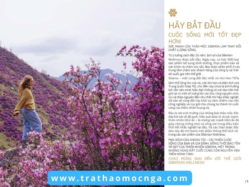 Catalogue các sản phẩm của Siberian Wellness Việt Nam