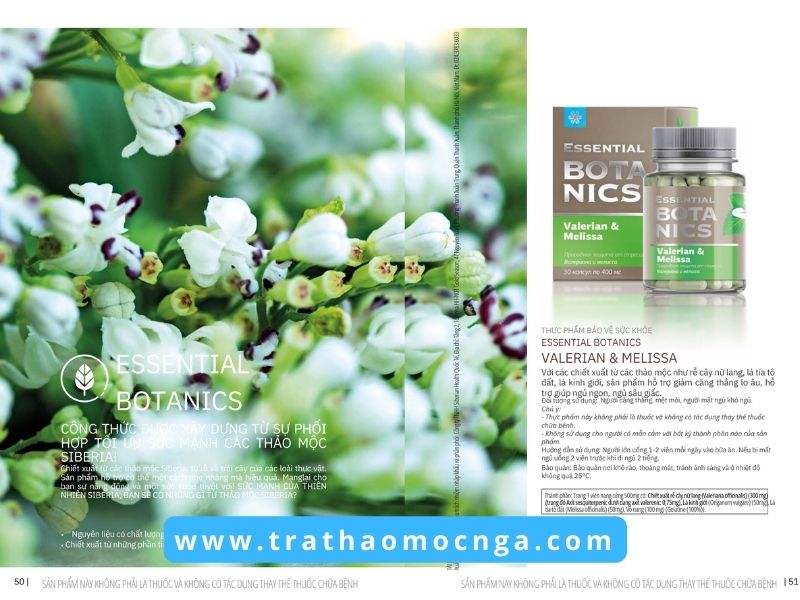 Catalogue các sản phẩm của Siberian Wellness Việt Nam