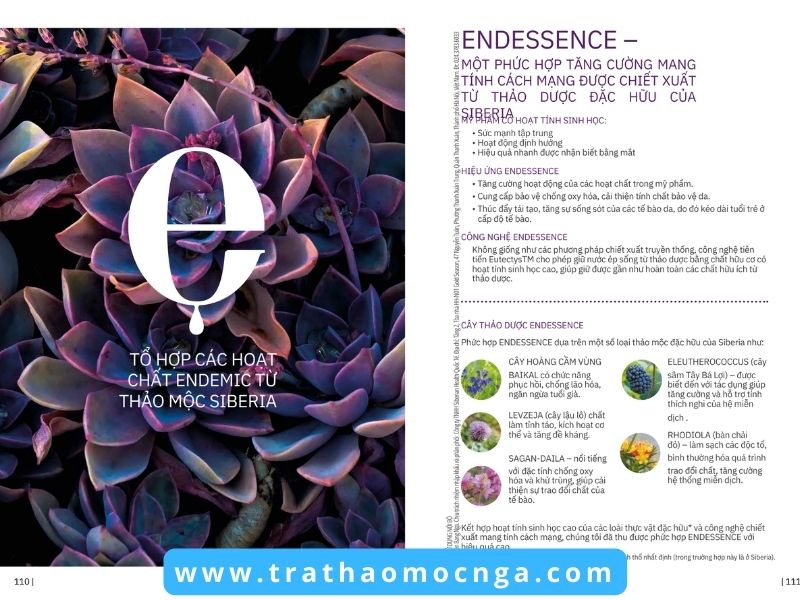 Catalogue các sản phẩm của Siberian Wellness Việt Nam